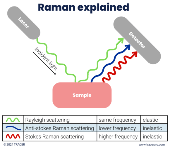 Raman Spectroscopy & Microscopy | Fastest CRO | TRACER