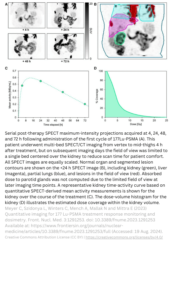 dosimetry 177Lu PSMA