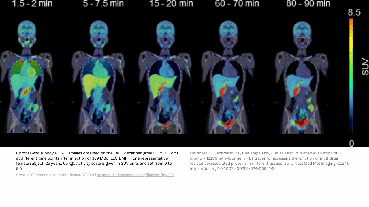 dosimetry study