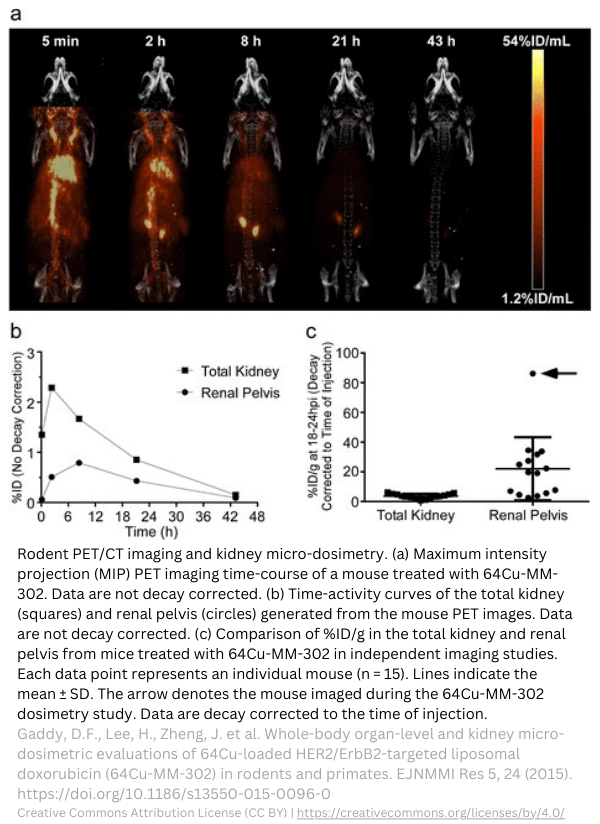 preclinical microdosimetry