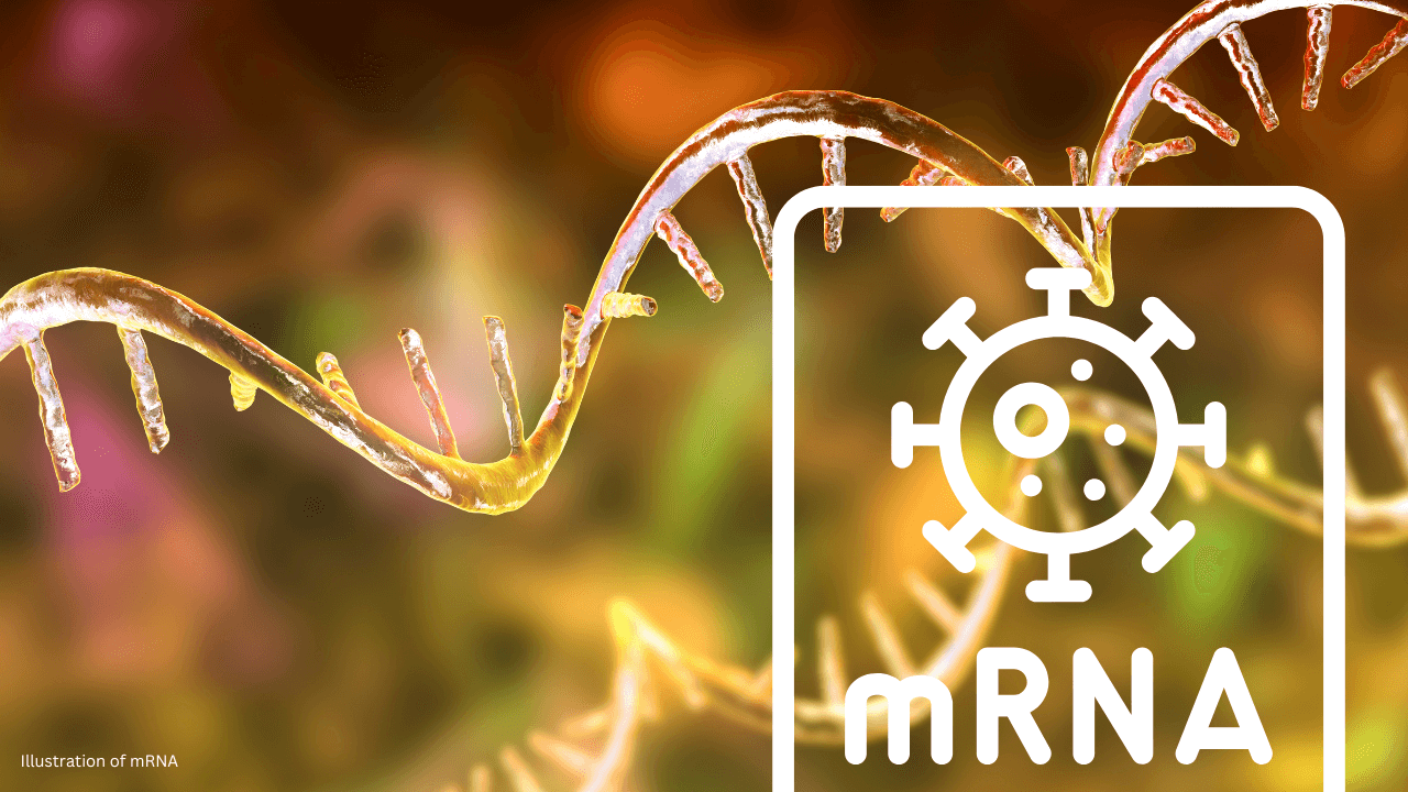 mRNA