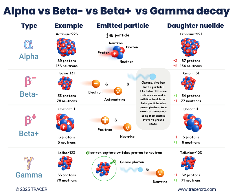 Alpha vs Beta- vs Beta+ decay