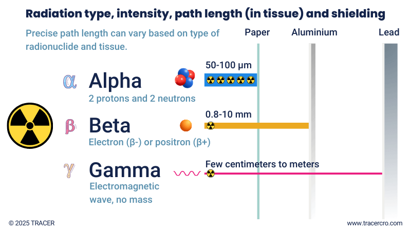 radiation alpha beta gamma