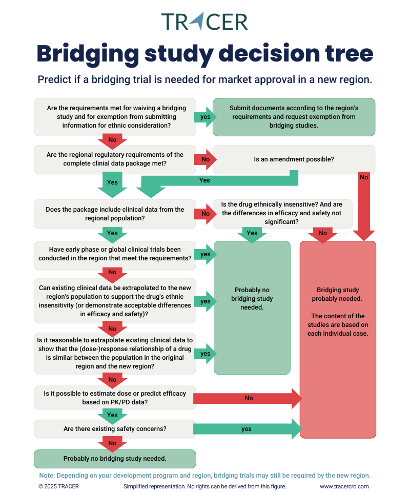 Bridging study decision tree